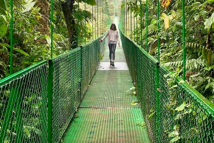 hike with Johnny loves nature Monteverde